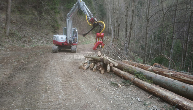 LU Peter Auer - Baggerarbeiten