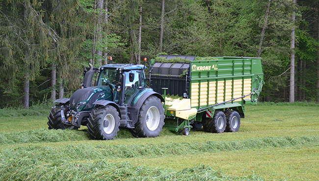 LU Peter Auer - Gruenlandernte