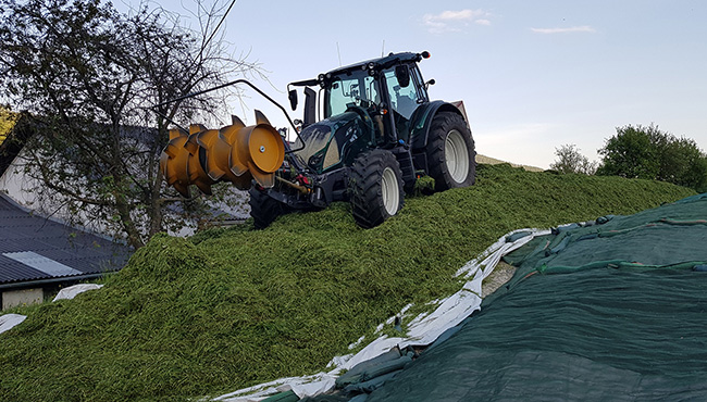 LU Peter Auer - Gruenlandernte