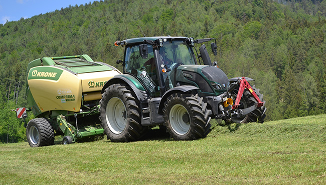 LU Peter Auer - Gruenlandernte