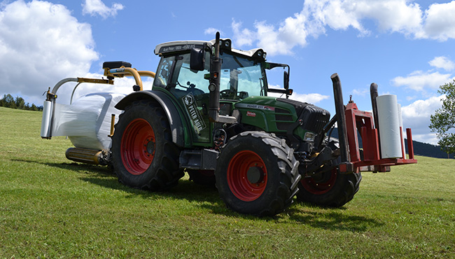 LU Peter Auer - Gruenlandernte
