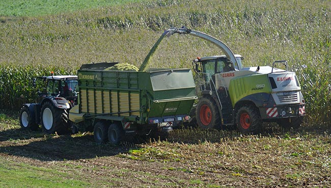 LU Peter Auer - Gruenlandernte