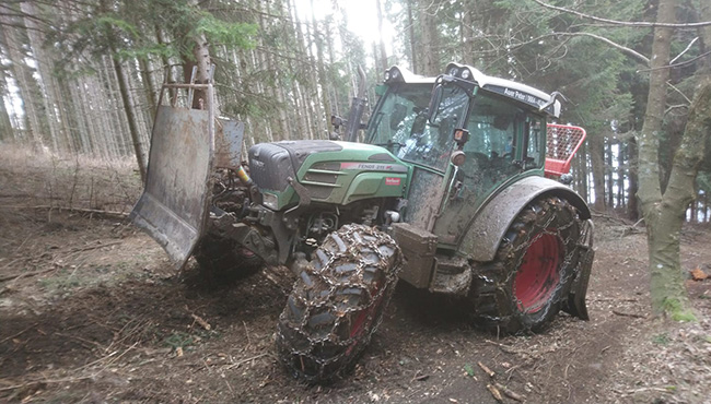LU Peter Auer - Holzschlaegerungen