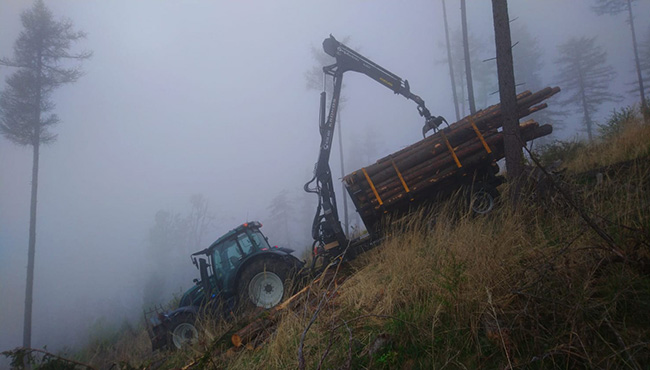 LU Peter Auer - Holzschlaegerungen